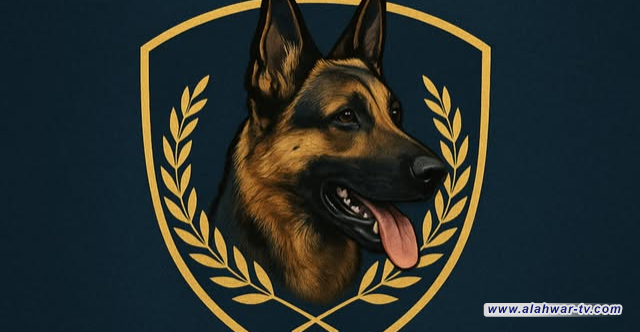 الكلاب البوليسية تضبط أجنبياً بحوزته مخدرات في منفذ حدودي مع إيران