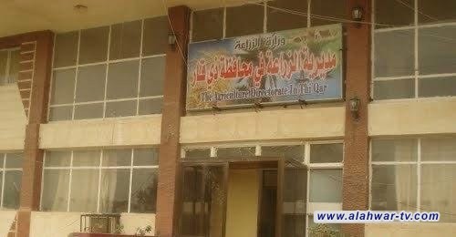 زراعة ذي قار تقترح خطة صيفية طموحة: أكثر من 100 ألف دونم تنتظر الضوء الأخضر من بغداد