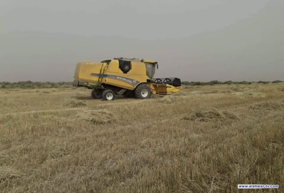 انطلاق حملة الحصاد الميكانيكي لمحصول الحنطة والشعير في ذي قار