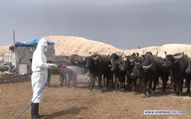 خمس إصابات جديدة بالحمى النزفية في ذي قار خلال عشرة أيام