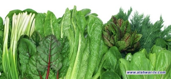 أطباء: الخضار الورقية الأكثر فائدة لكبار السن