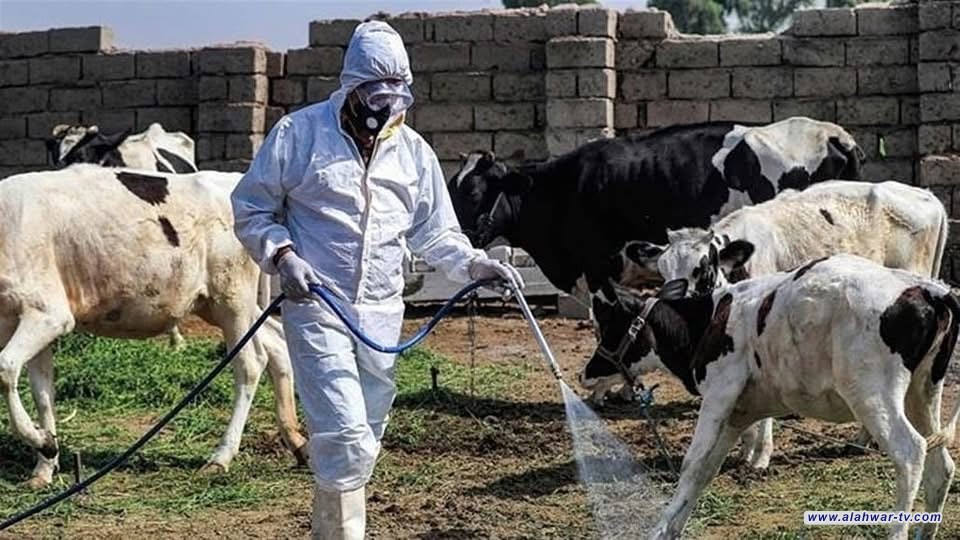 أول حالة وفاة بالحمى النزفية في ذي قار