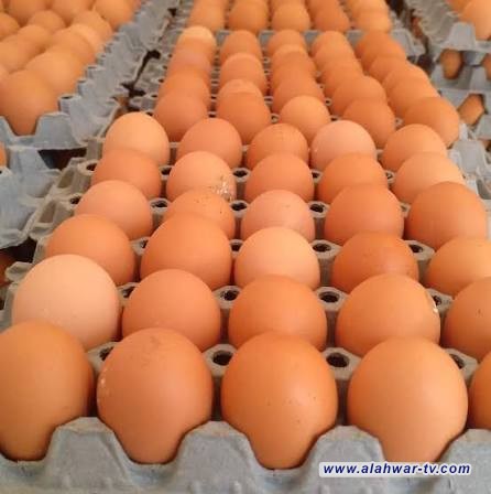 مجلس شؤون المنافسة ومنع الاحتكار: 4 إجراءات لمنع التلاعب بأسعار بيض المائدة