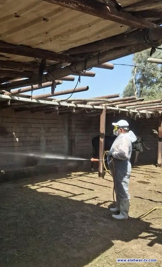 مستشفى ذي قار البيطري احتواء بؤرة اصابة بالحمى النزفية في قضاء الرفاعي ويلتقي ذوي المصاب