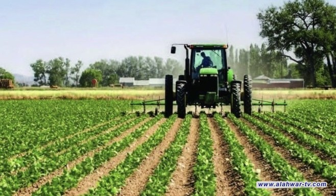 الزراعة تفصل محاور التعاون مع المنظمات الدولية والمشاريع المنفذة