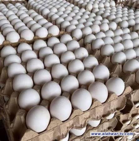 أسعار بيض المائدة تقفز إلى 7 آلاف دينار في أسواق الناصرية وسط مطالبات بتشديد الرقابة