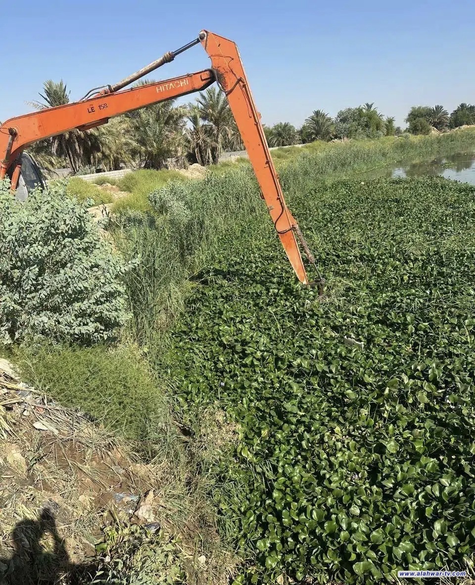 مشروع الغراف يطلق حملة ميدانية لتنظيف الأنهار من زهرة النيل وصيانة محطات المياه