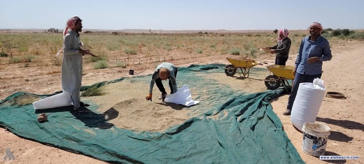 الزراعة: مشروع حوض الحماد شمل المناطق الحدودية مع سوريا