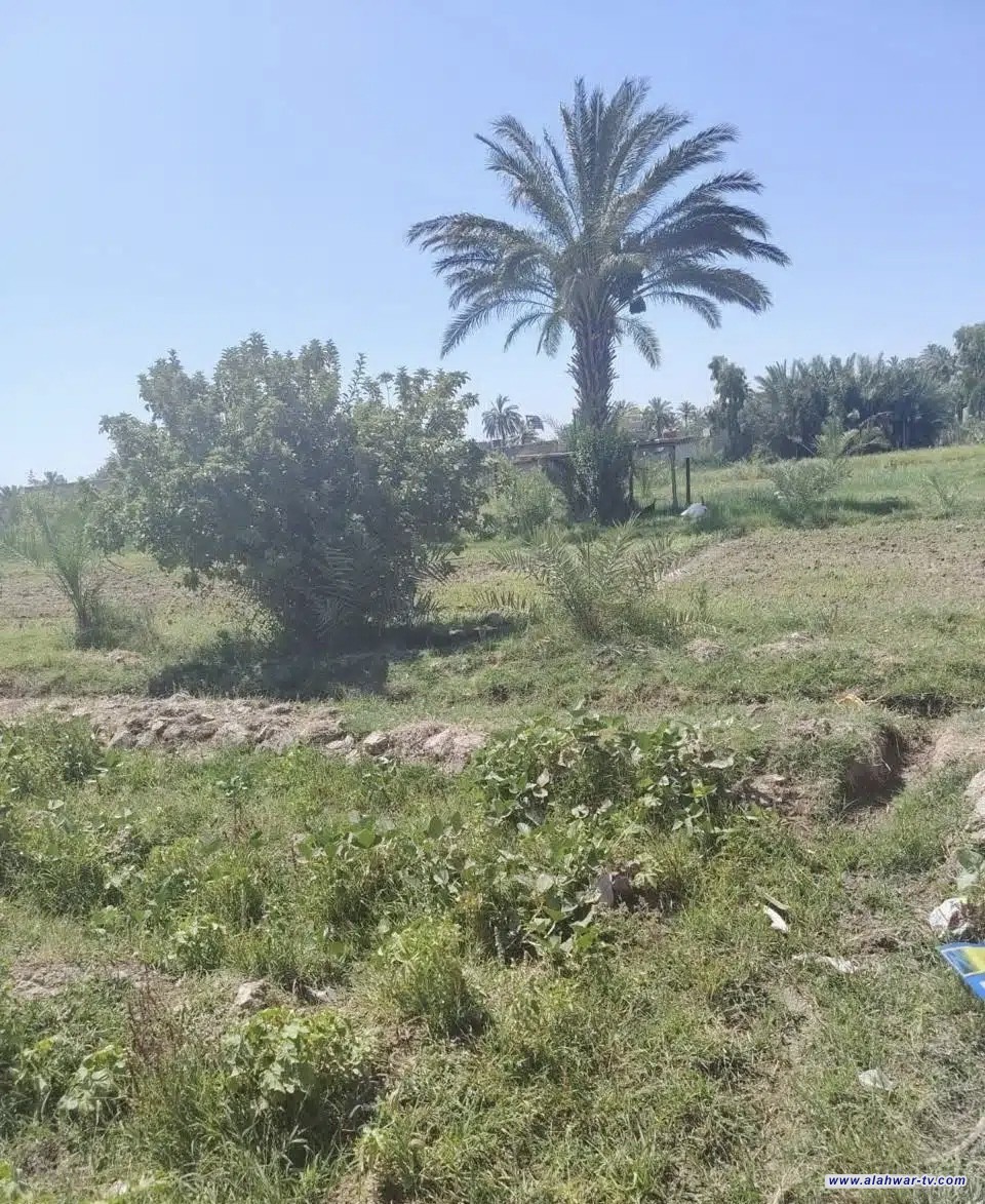 بيئة ذي قار تنفذ كشفا ميدانيا في الرفاعي لرصد واقع المساحات الخضراء