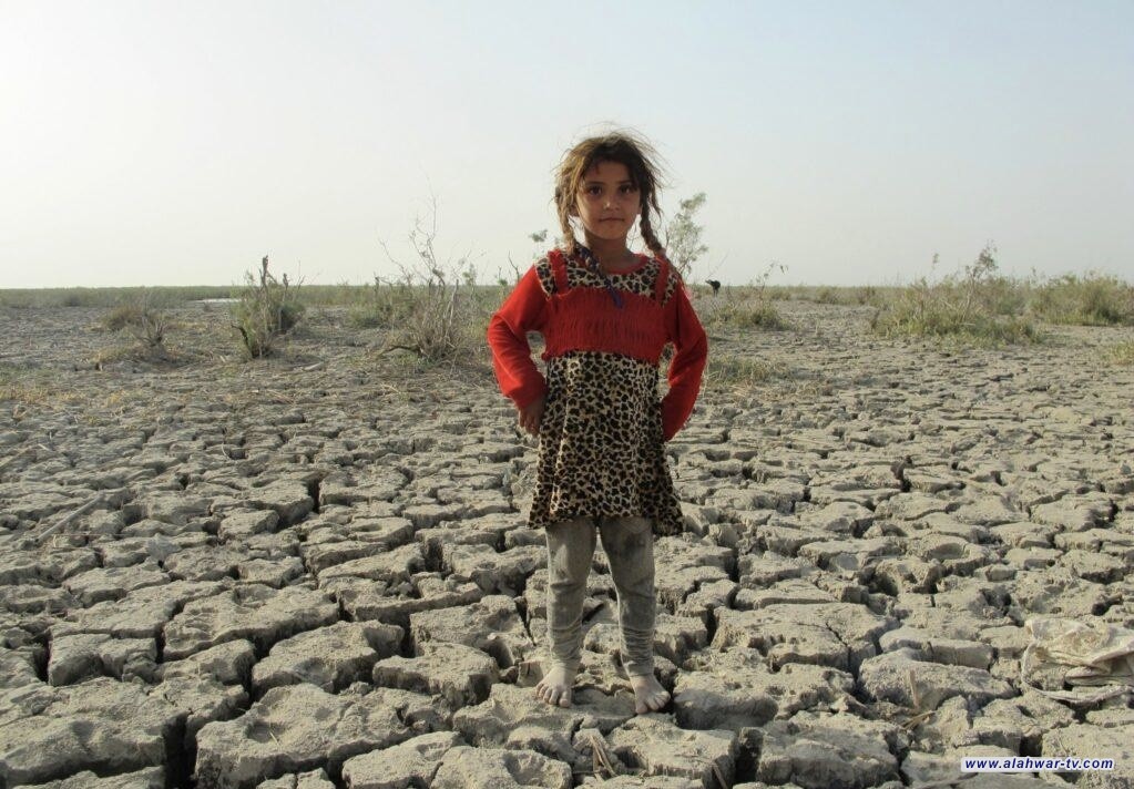 نائب من ذي قار: نزوح أكثر من 10 آلاف عائلة من الأهوار بسبب الجفاف