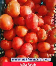 من ضمنها (الطماطم)..الزراعة تعلن منع استيراد 6 محاصيل لوفرتها محلياً