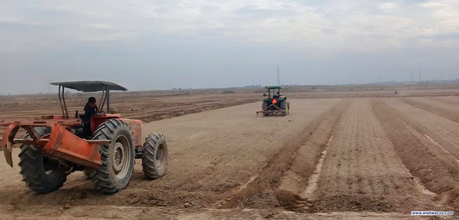 الزراعة: إجراءات تنفيذية مشتركة بين الوزارات لضمان الأمن الغذائي