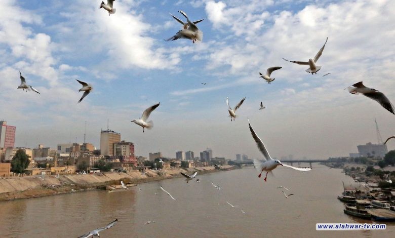 الأنواء الجوية: محافظتان تسجلان الـ50 مئوية غداً