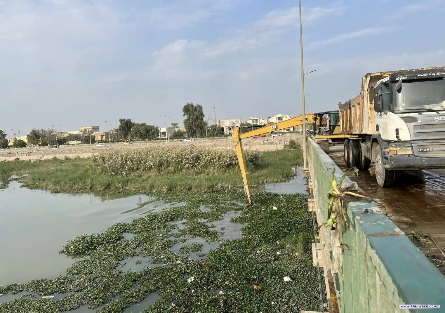 ذي قار تطهّر 30 كيلومتراً من نهر الفرات من زهرة النيل وتثبت مصدات للحدّ من انتشارها
