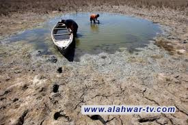 هجرة ذي قار: نزوح 10 عائلة من مناطق الأهوار بسبب مشكلة الجفاف
