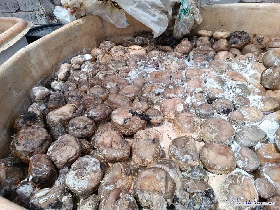 لمحبي الطرشي مجدداً العثور على معمل غير مجاز في اليوسفية بداخله 25 طناً من المخللات الفاسدة