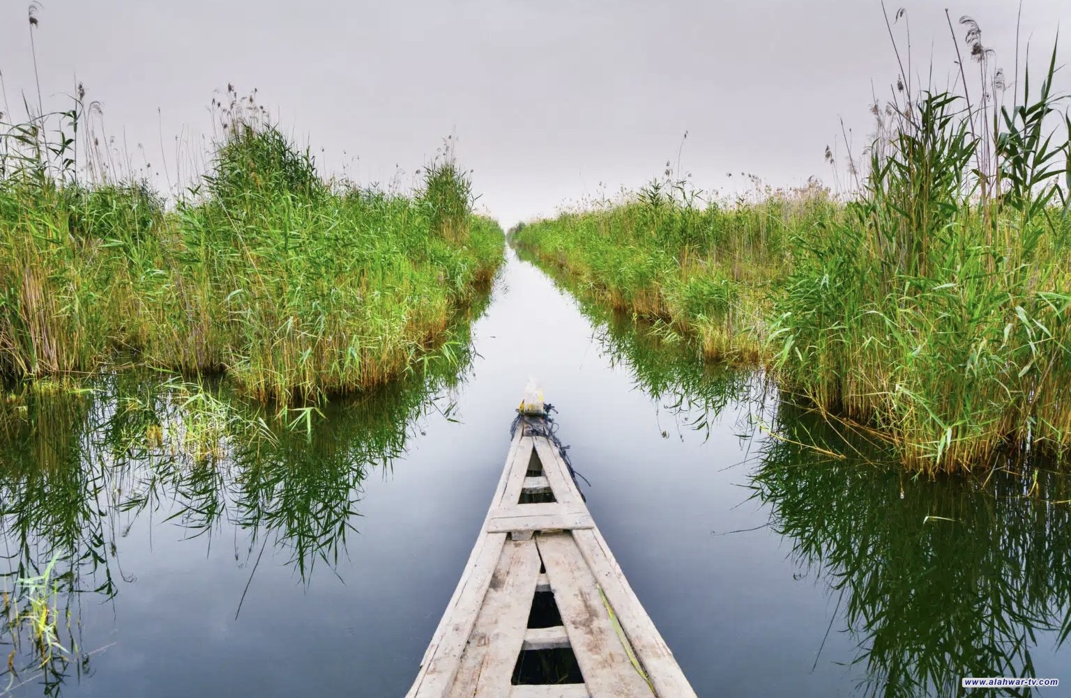 منسوب الفرات في الجبايش يرتفع إلى 50 سم بعد الموجة المطرية