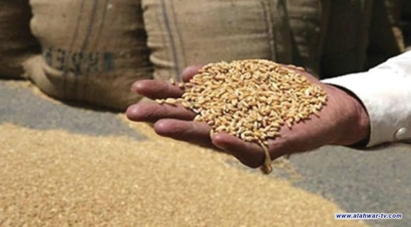 تجارة الحبوب تجهّز مطاحن الناصرية بـ 9 آلاف طن من سايلو الشطرة رغم حادث الانهيار