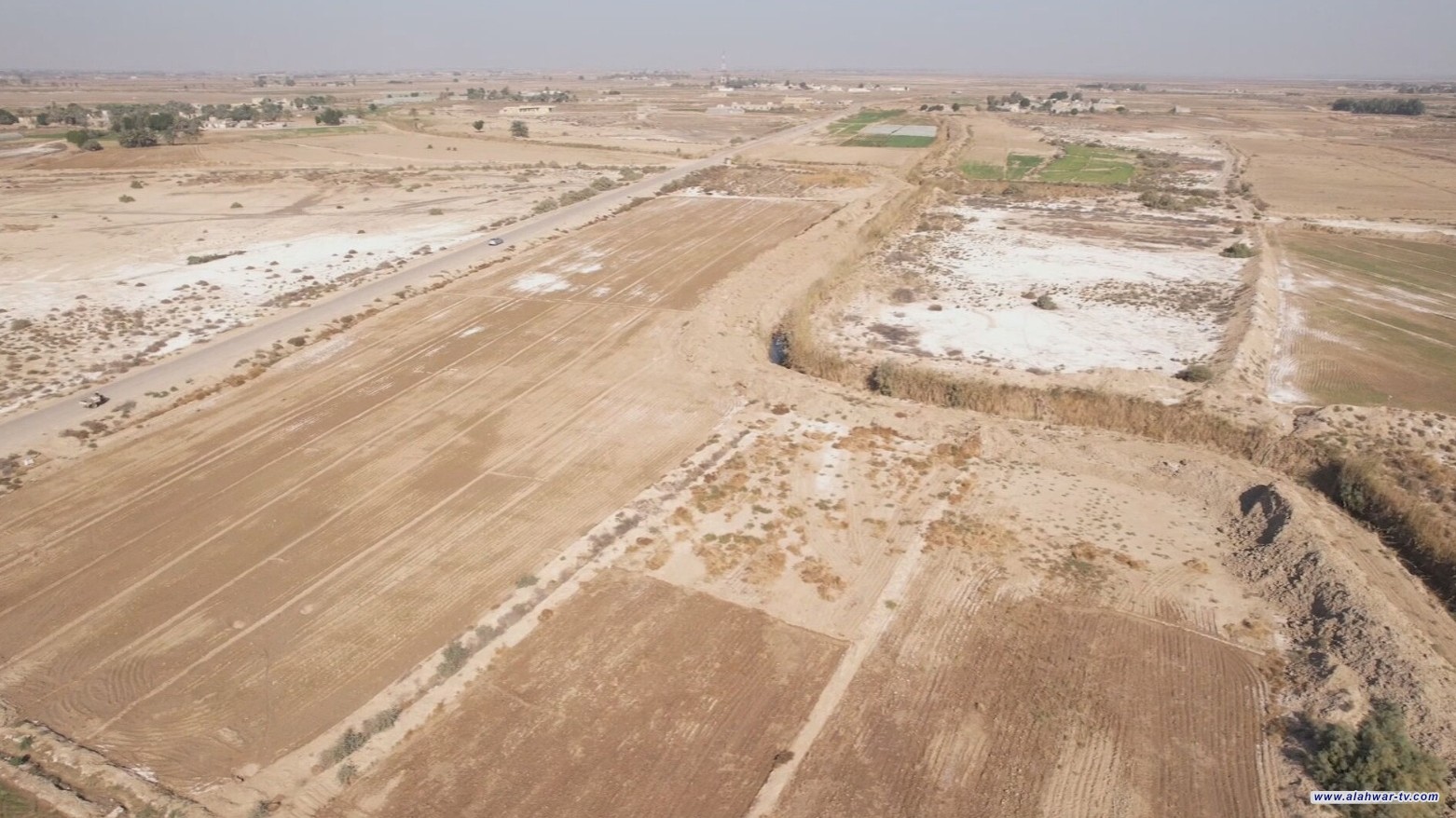 شح المياه وقرارات المنع تهدد بزوال زراعة العنبر في جنوب الناصرية