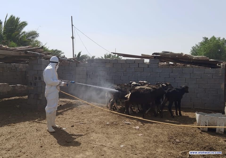 أسبوعٌ بلا إصابات.. ذي قار تُسجّل تراجعا في الحمى النزفية