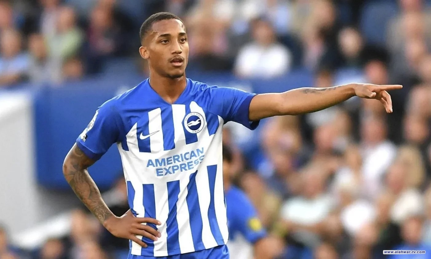 تشيلسي يضم أحد نجوم الدوري الإنجليزي