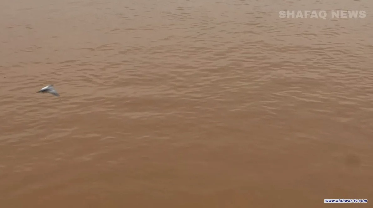 مرصد يحدد 4 أسباب لارتفاع منسوب دجلة والفرات