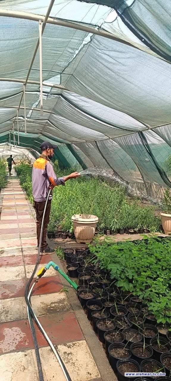 مدير بلدية الناصرية يوجه بزيادة إنتاج الأشجار لتغطية الحدائق العامة