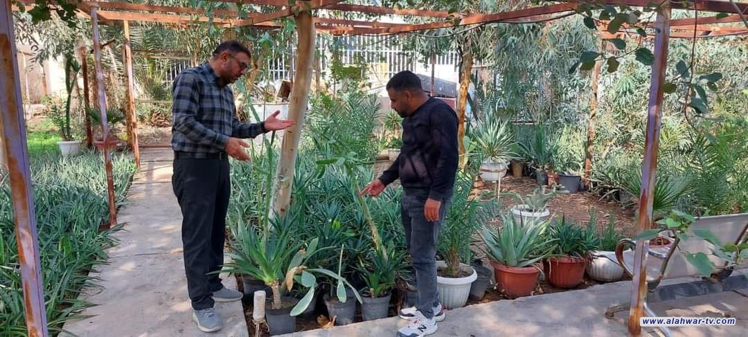 بيئة ذي قار تكثف حملاتها لمنع زراعة شجرة الكاربس والتشجيع على زراعة الاشجار المثمرة