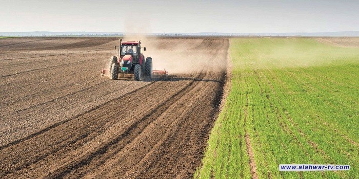 وزارة الزراعة: الخطة الزراعية للحنطة لم تستهلك لتراً واحداً من الخزين المائي