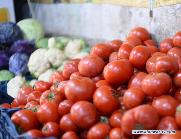 توضيح حكومي بشأن فتح باب الاستيراد لـ 9 محاصيل زراعية