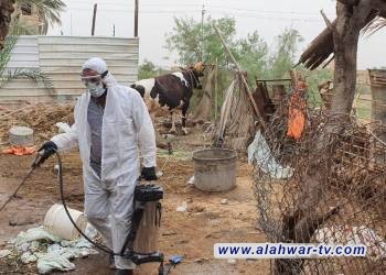 الحمى النزفية تعاود الظهور مجددا شمال الناصرية